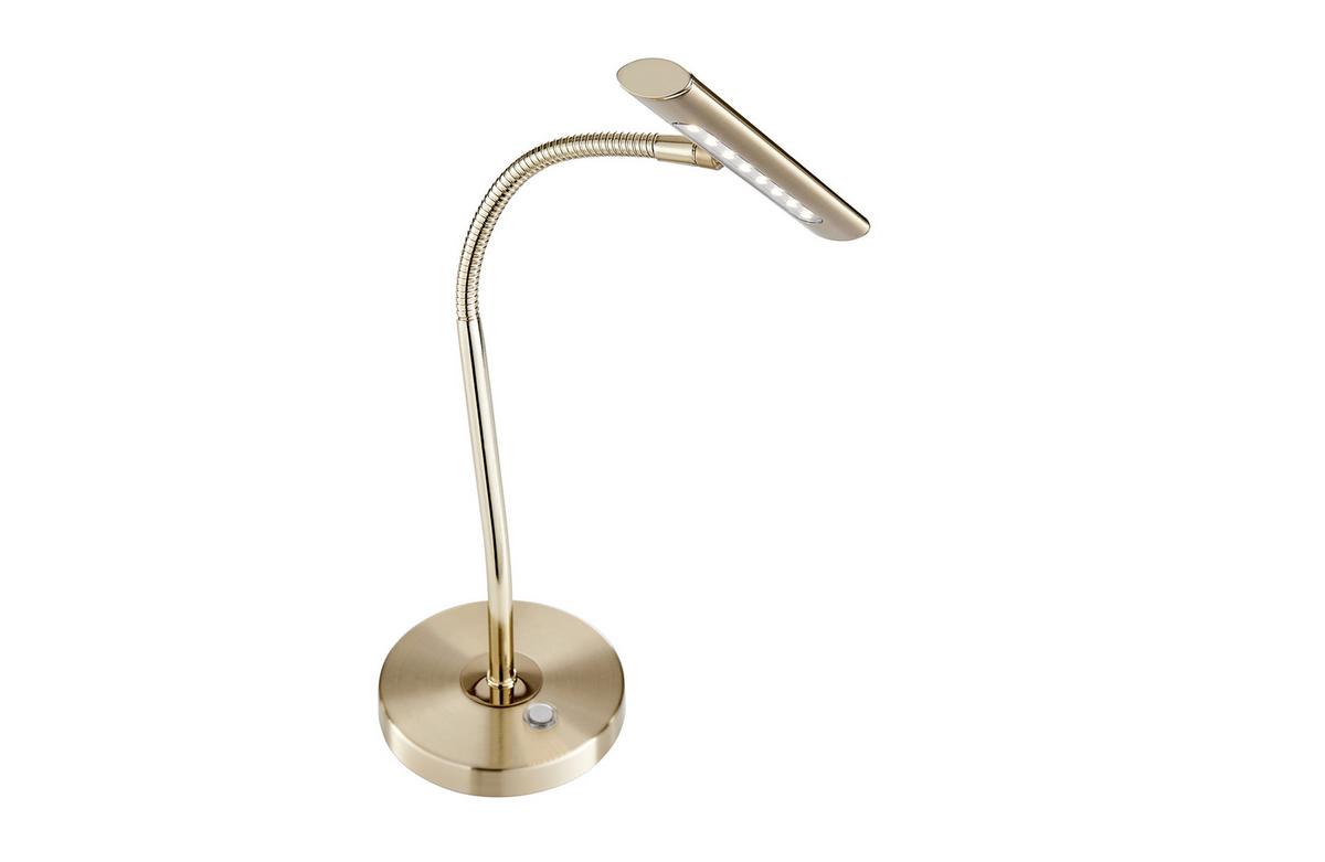 LED-Tischleuchte Curtis Messingfarben max. 4 Watt - Messingfarben, LIFESTYLE, Metall (18/35cm) - Trio Leuchten