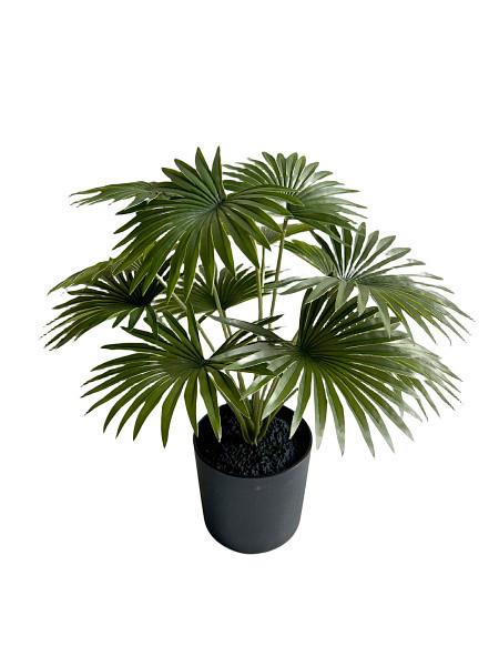 SZTUCZNY KWIAT 4052-883 - zielony, Basics, tworzywo sztuczne (39cm)