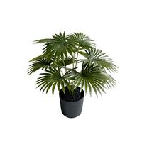 SZTUCZNY KWIAT 4052-883 - zielony, Basics, tworzywo sztuczne (39cm)