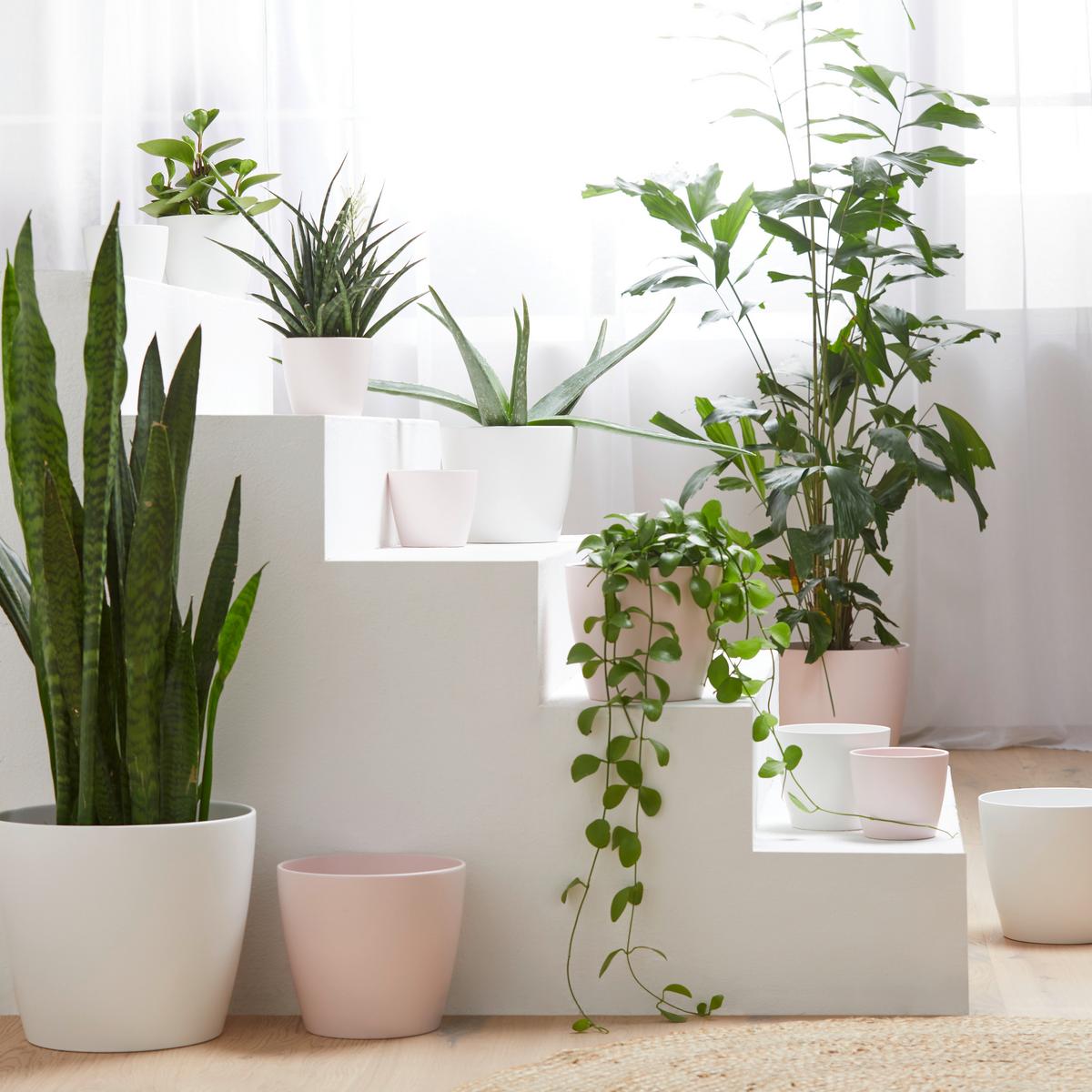 Mască pentru ghiveci LUISA -BASED - alb/negru, Modern, ceramică (12/10cm) - Best Price