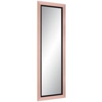 Wandspiegel Rose in Rosa - Rosa, Modern, Glas/Holzwerkstoff (55/165cm) - Mömax