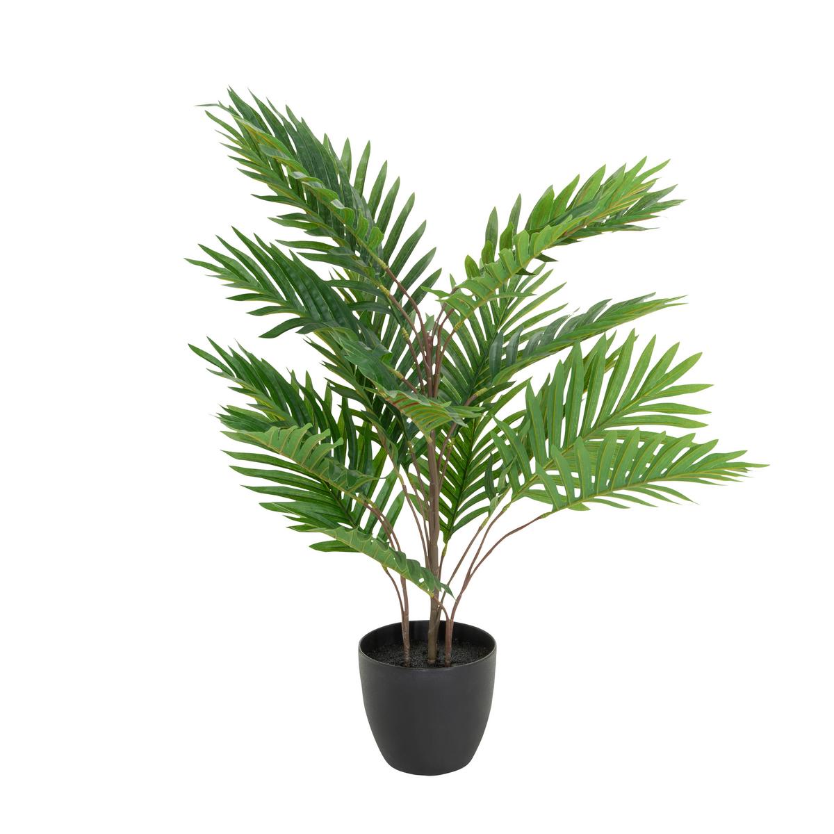 Umetna Rastlina Areca - črna/zelena, Basics, umetna masa/tekstil (60/70/60cm) - MID.YOU