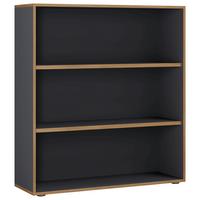 Pisarniški Regal Salia B100, Antracit, Barva Hrasta - črna/medeni hrast, Design, umetna masa/leseni material (100/110/33cm) - P & B
