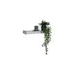 VÄGGHYLLA ZOE -SB- - silver, Lifestyle, glas/plast (50/5,5/15cm) - Mömax