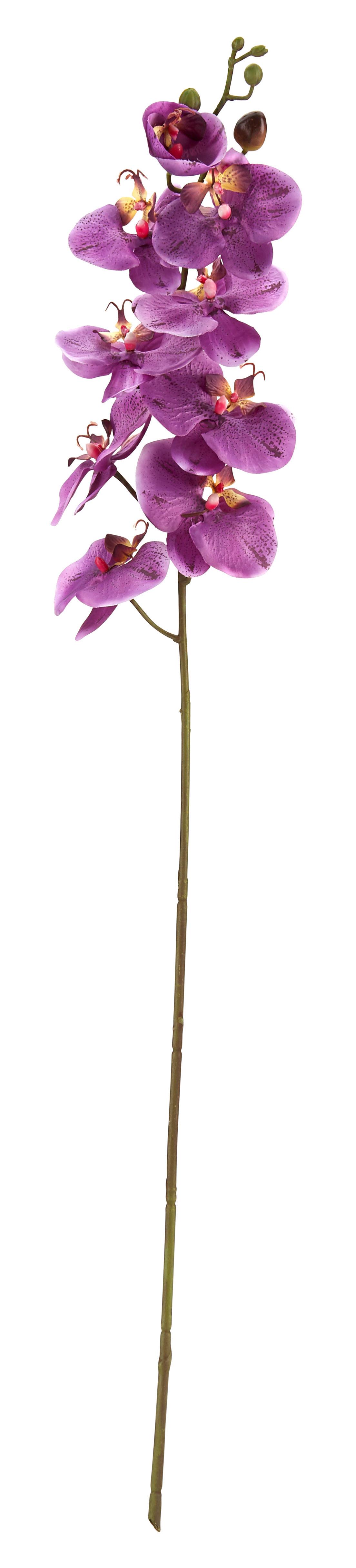 Kunstpflanze Phalänopsis in Lila - Lila/Grün, Kunststoff (98cm) - Modern Living