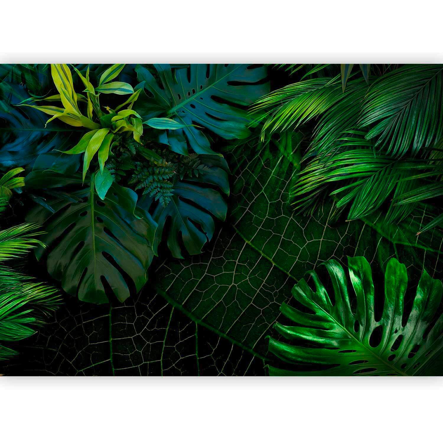 Fototapeta Tropical, Zelena - zelena/temno zelena, Basics, tekstil (450/315cm) - artgeist