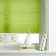 Plissee Free Grün, 60x130cm - Grün, Textil (60/130cm) - Premium Living Plissee Free Grün, 60x130cm - Grün, Textil (60/130cm) - Premium Living