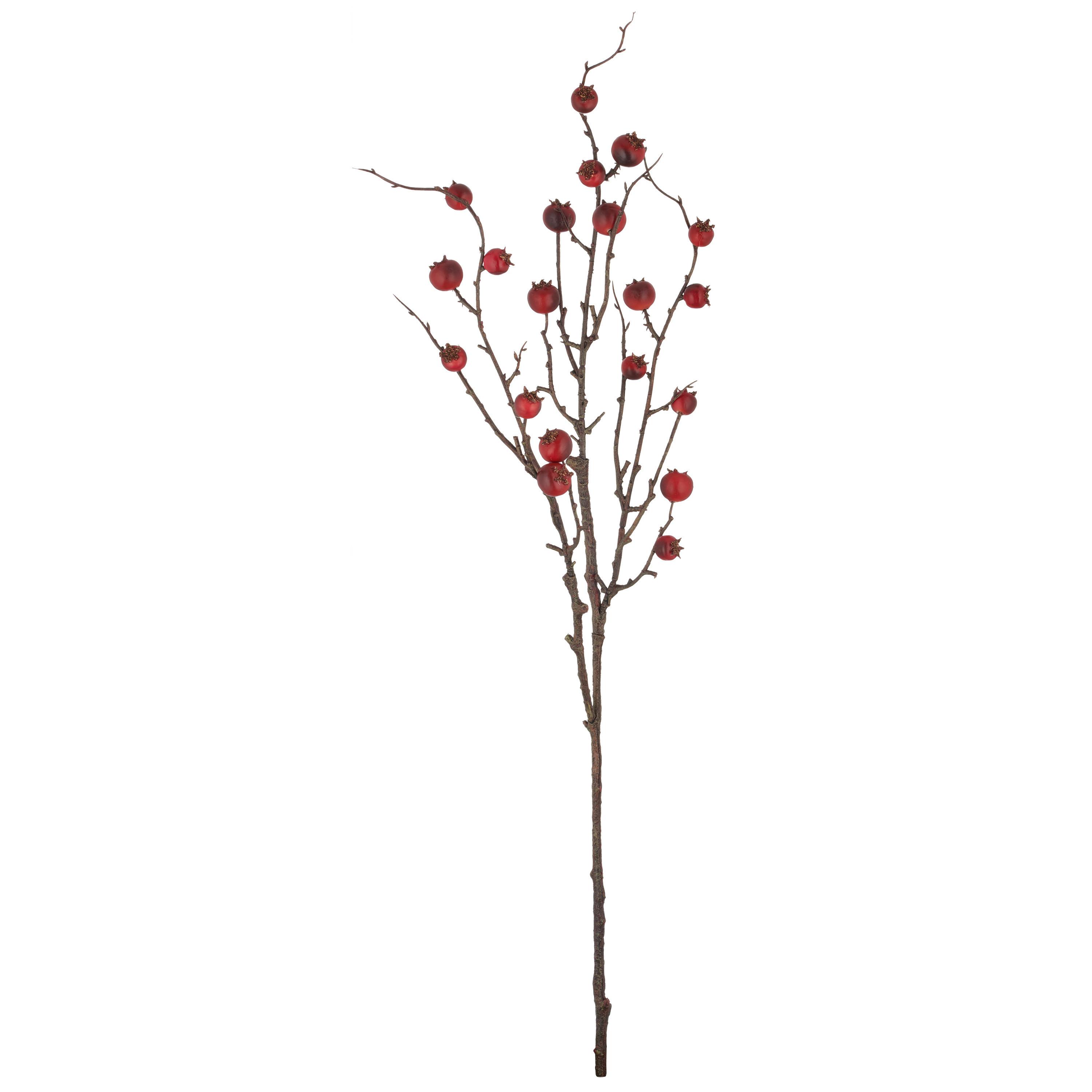 Umetna Rastlina Hagenbuttenzweig I - rdeča/rjava, Basics, umetna masa (86cm) - Mömax