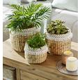 Vas Ornamental Pentru Ghiveci Jimmy - alb/culoare natur, lemn (22/20cm) - Zandiara Vas Ornamental Pentru Ghiveci Jimmy - alb/culoare natur, lemn (22/20cm) - Zandiara