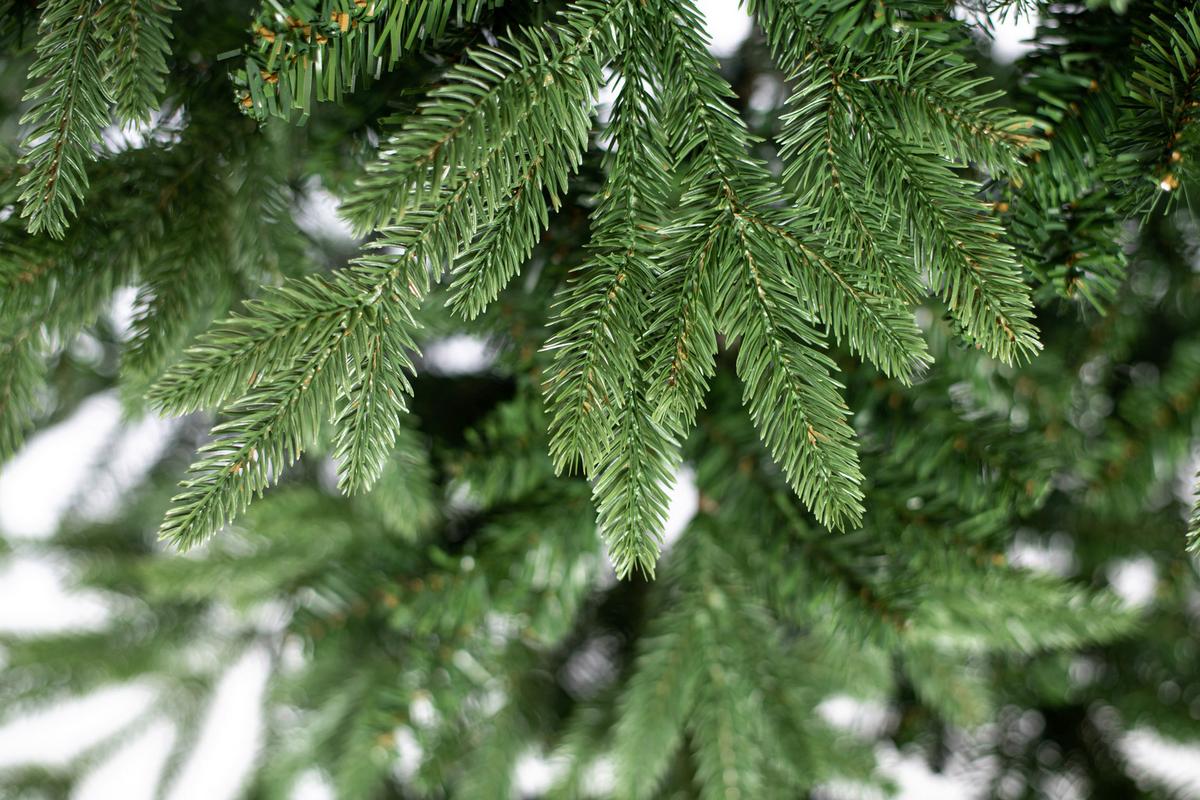 Weihnachtsbaum Evergreen Sherwood Grün H: ca. 210cm - Waldgrün, Basics, Kunststoff (134/210cm)