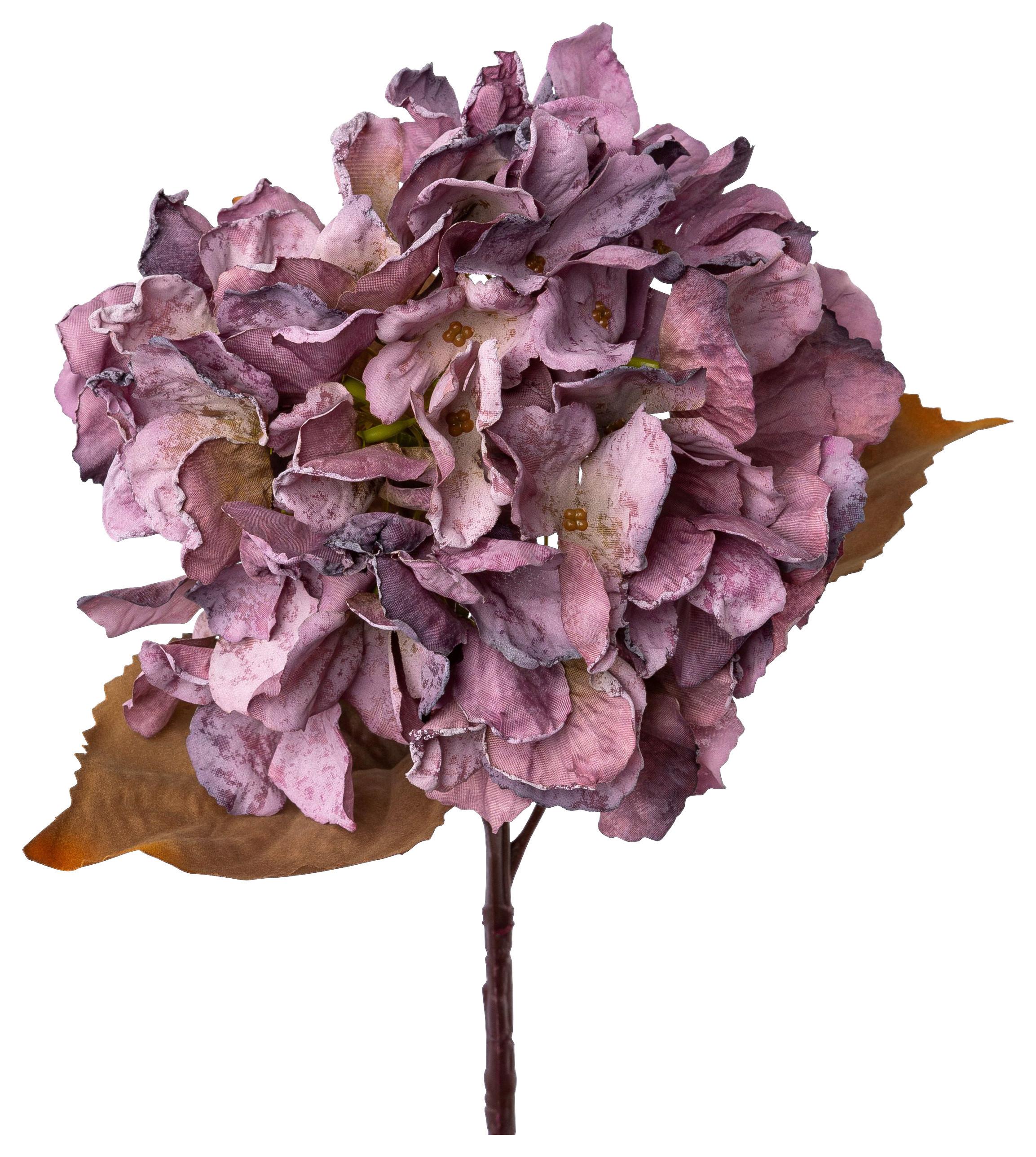 Művirág Hortenzia - lila/barna, Konventionell, műanyag (48cm) - Modern Living