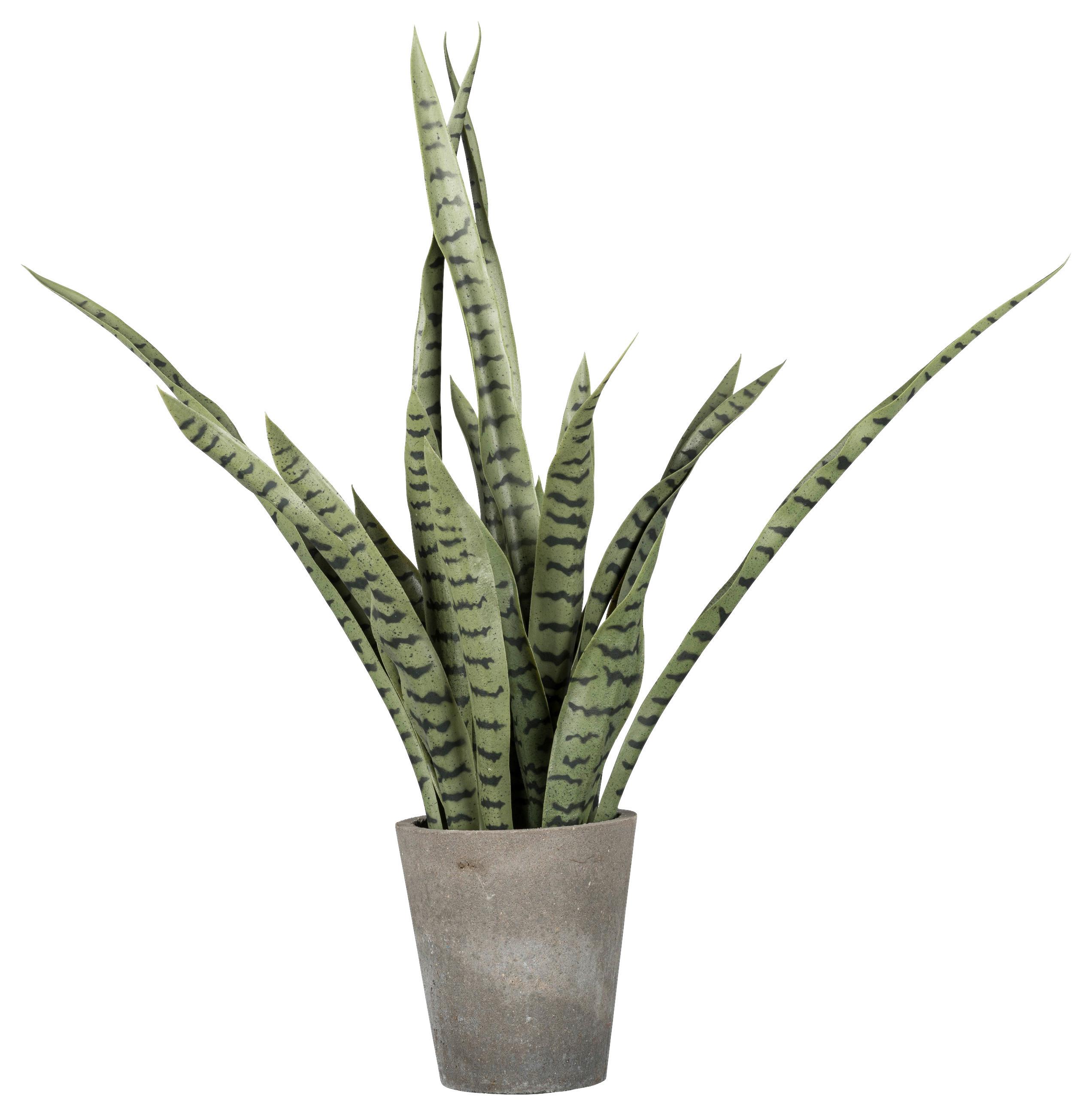 Kunstpflanze Sanseveria in Grün/Grau - Grau/Grün, Basics, Kunststoff (85cm)