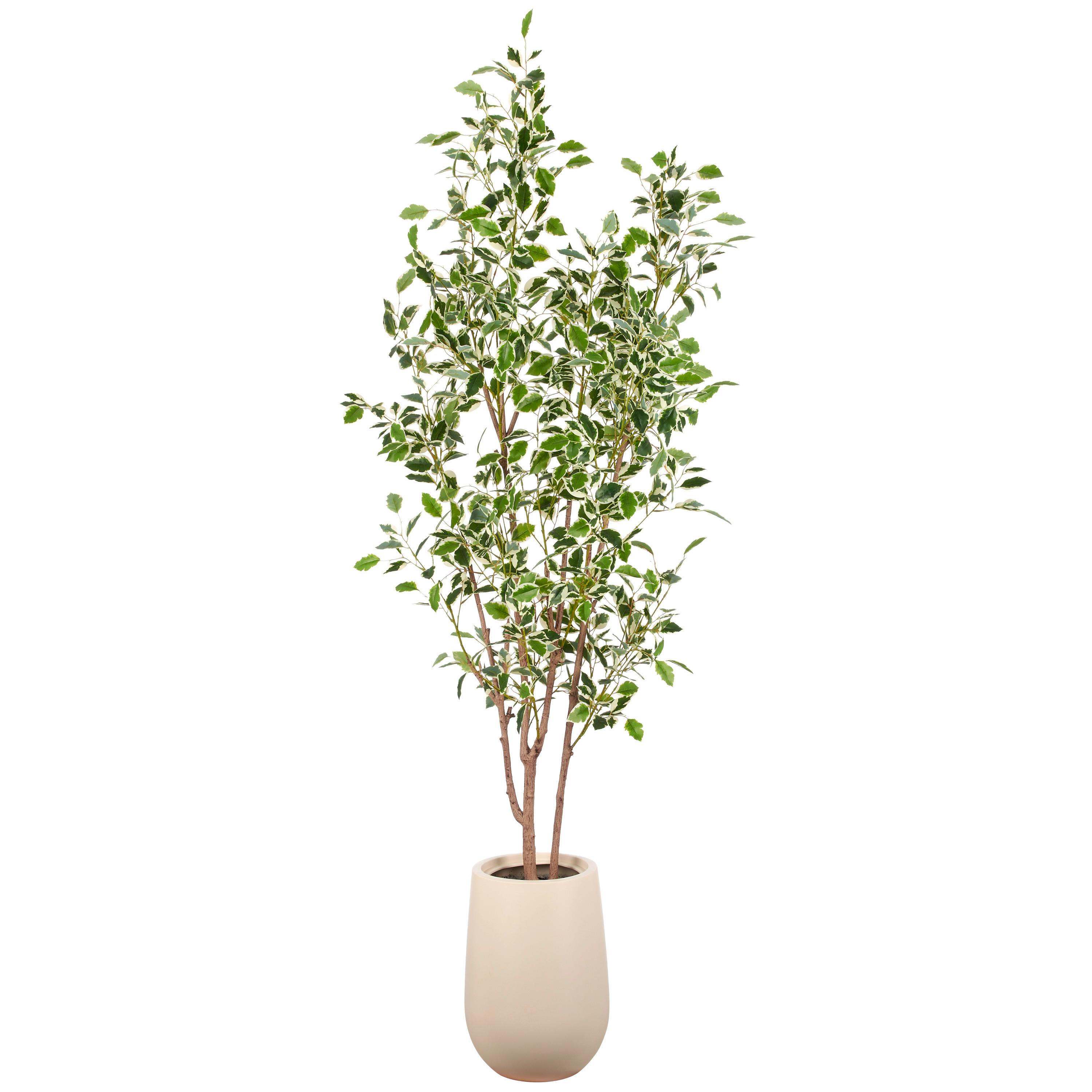 Kunstpflanze Grün/Braun/Creme - Creme/Braun, Basics, Kunststoff (190cm)