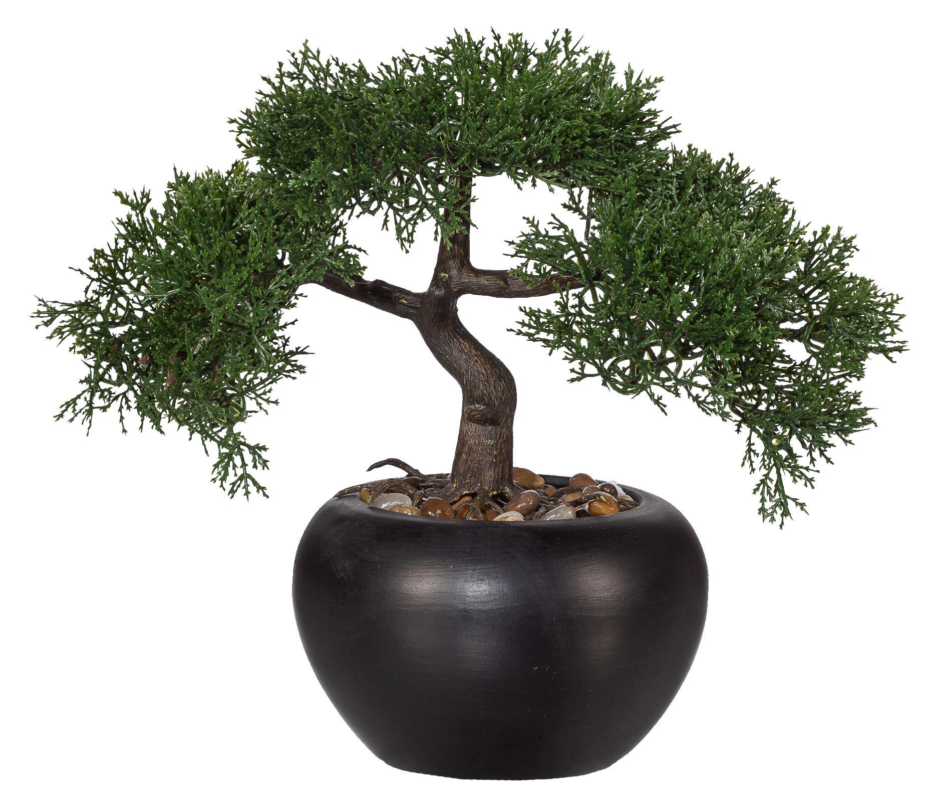 Kunstpflanze Bonsai I Grün - Schwarz/Braun, Basics, Keramik/Kunststoff (26cm) - Mömax