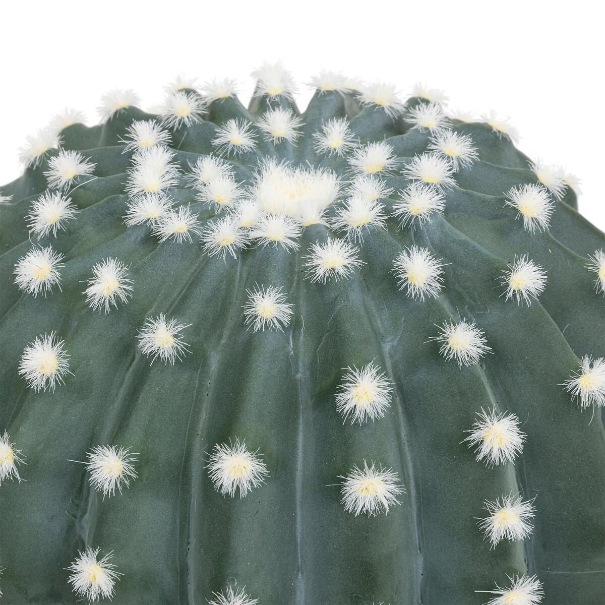 Cactus decorativ Exotic Panama - Modern (25cm)