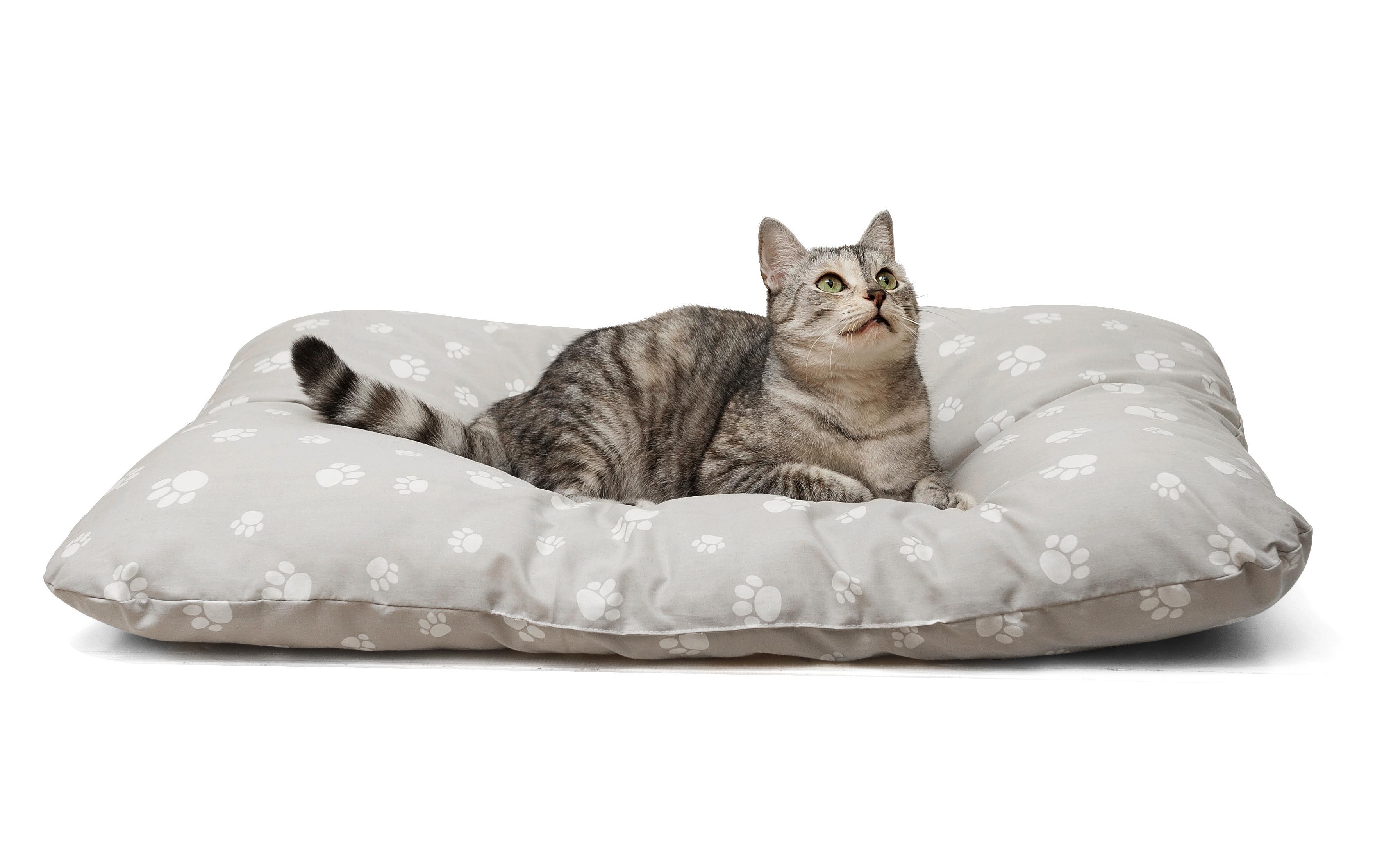 Haustierkissen Pet Hellbraun ca. 60x80cm - Hellbraun, Textil (60/80cm) - Mömax modern living