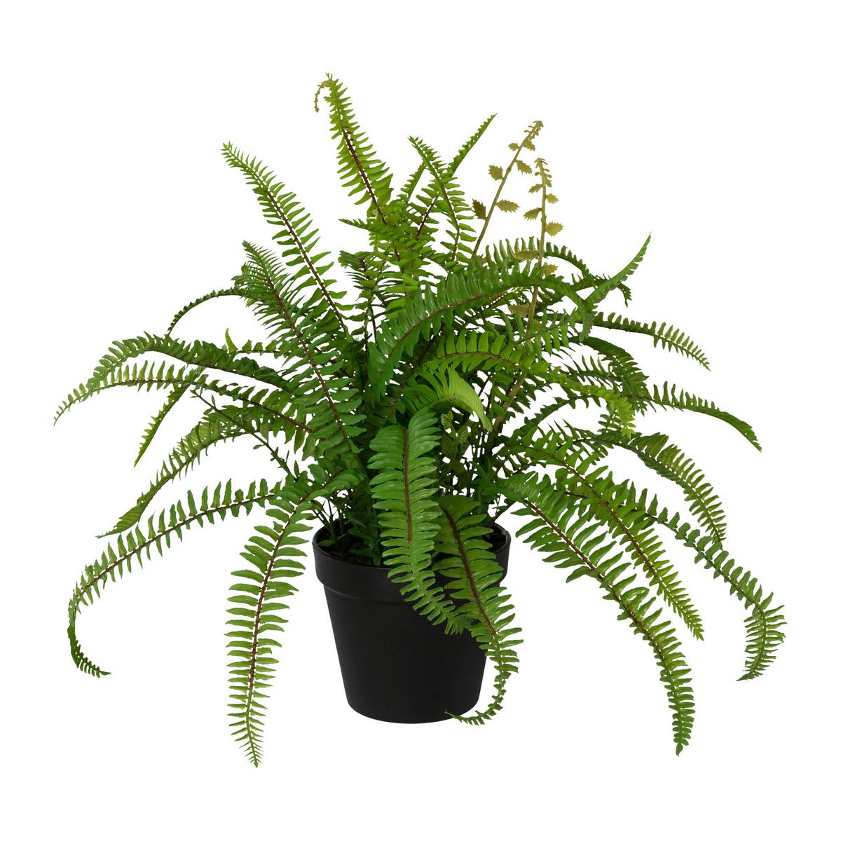Okrasna Rastlina Farn I - zelena, Basics, umetna masa (40cm) - Modern Living