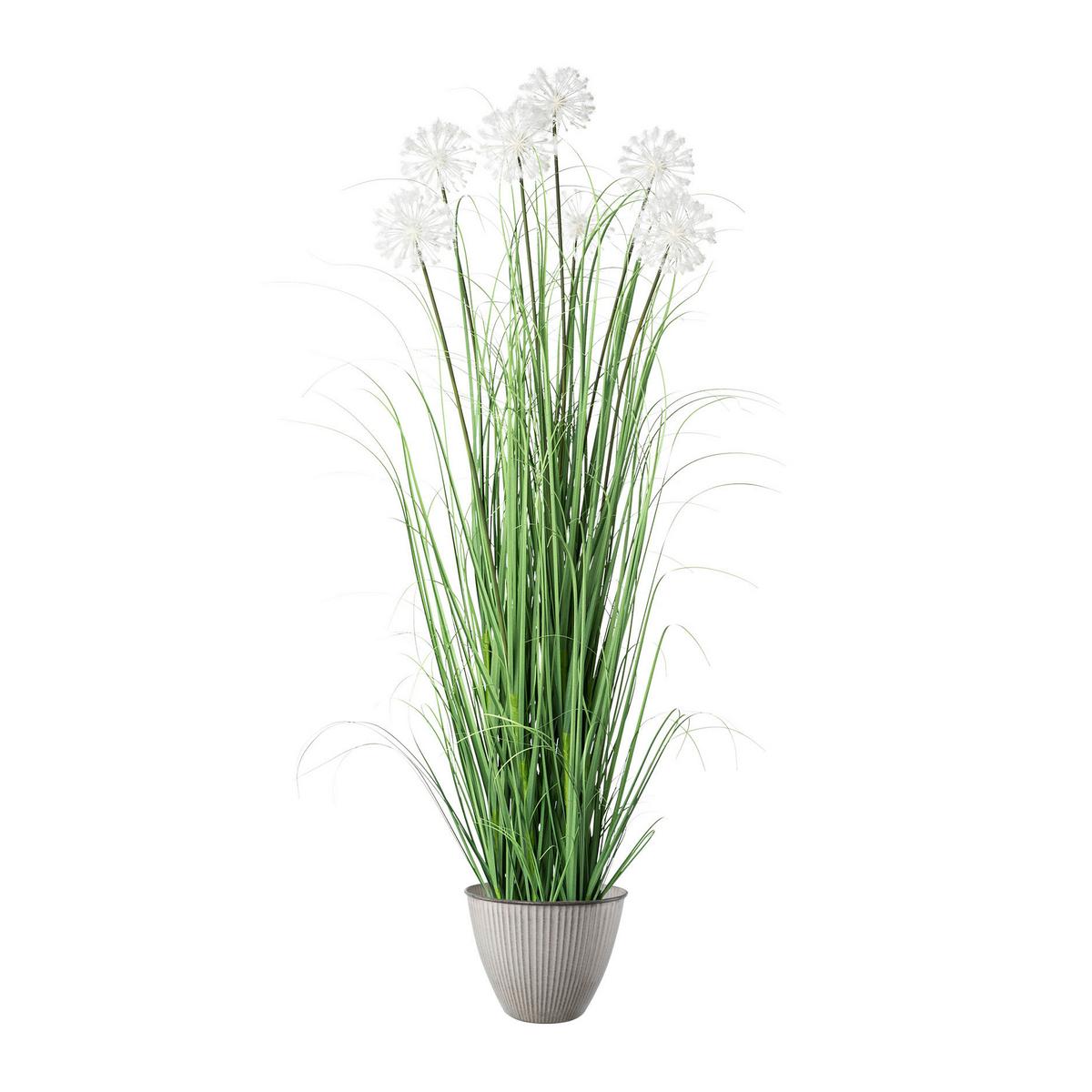 Kunstpflanze Daisy mit Übertopf, ca. 128cm - Creme/Weiß, MODERN, Kunststoff/Metall (128cm) - P & B