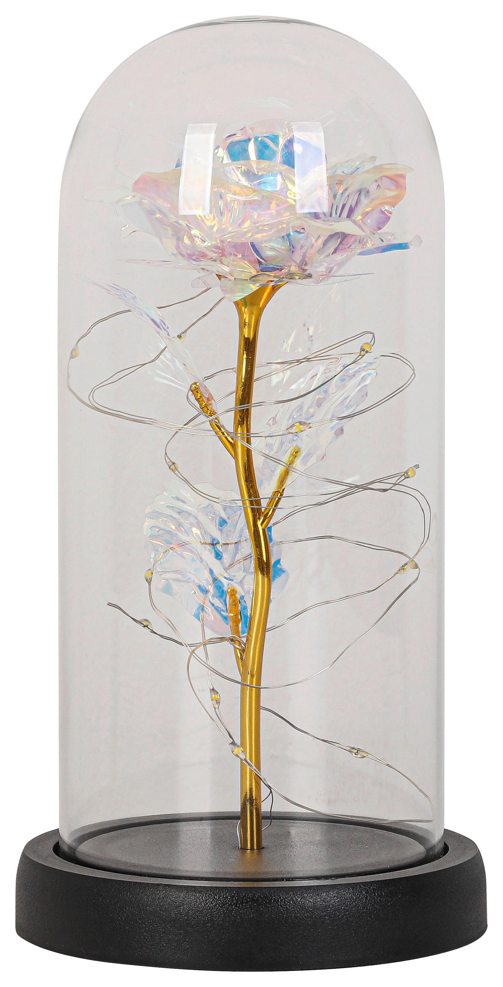 LED-DEKORATIONSLAMPA FLOWI - svart/transparent, Modern, plast (11/21cm) - Mömax