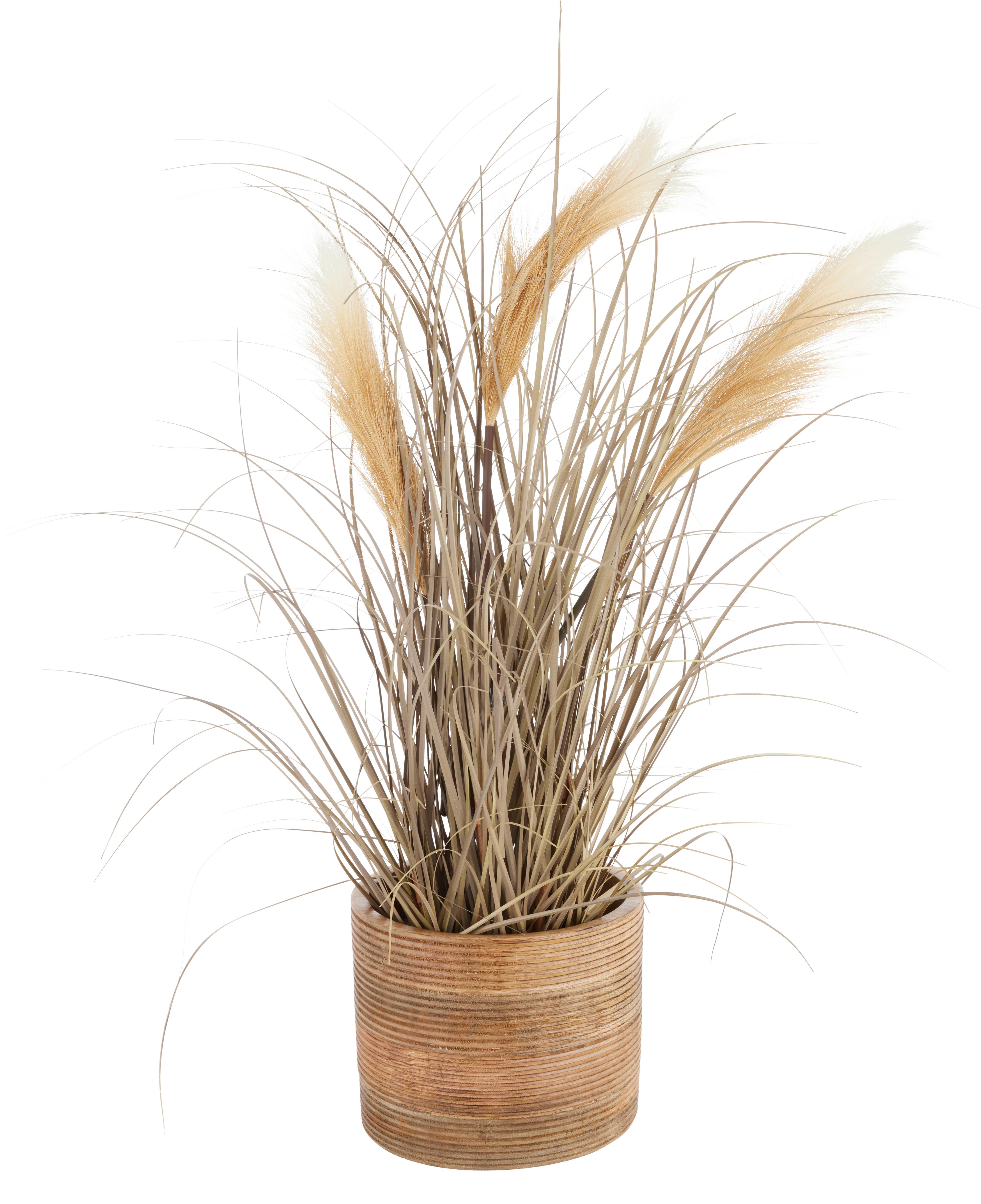 Cvetlični Lonček Lenuia Ii -Paz- - naravne barve, Trendi, les (15/17cm) - Premium Living
