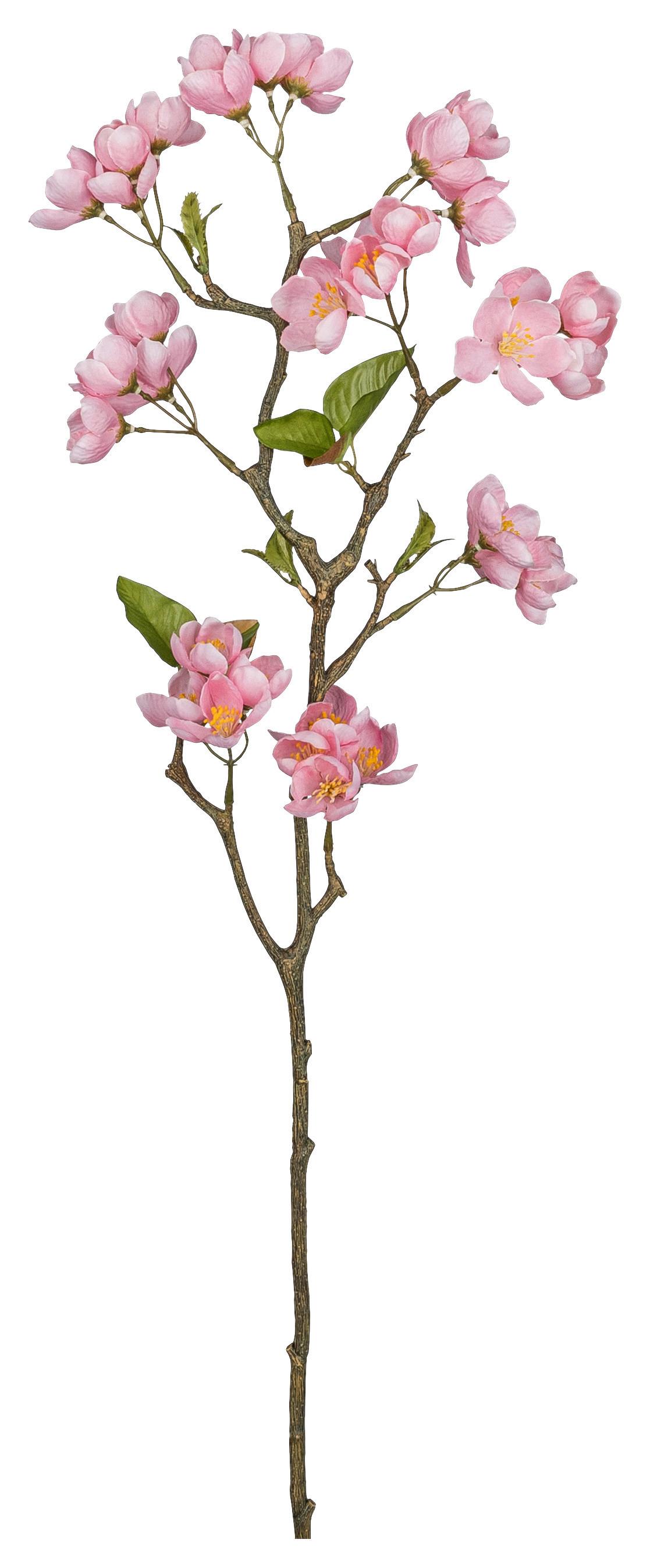 Apfelblüte Apfelblütenzweig I Rosa ca. 83cm - Rosa/Grün, Basics, Kunststoff/Textil (83cm) - Mömax