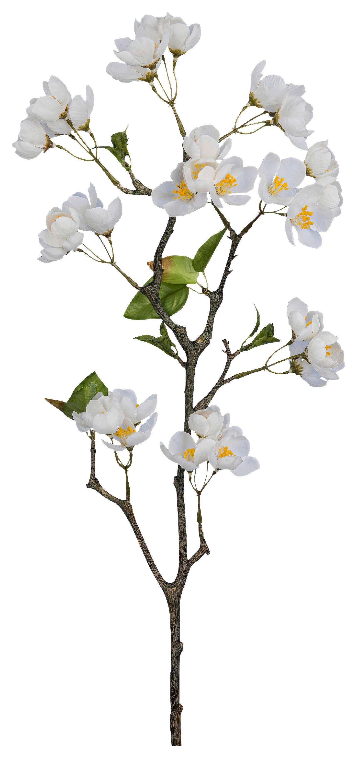 Apfelblüte Apfelblütenzweig Weiß ca. 83cm - Weiß/Grün, Basics, Kunststoff/Textil (83cm) - Mömax