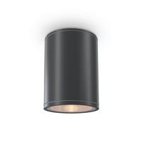 Außendeckenleuchte Bar Graphitfarben max. 7 Watt - Graphitfarben, Trend, Metall (9/11,5cm) - MAYTONI