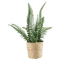 Plantă artificială FARN - verde/culoare natur, Basics, plastic/materiale naturale (38cm) - Modern Living