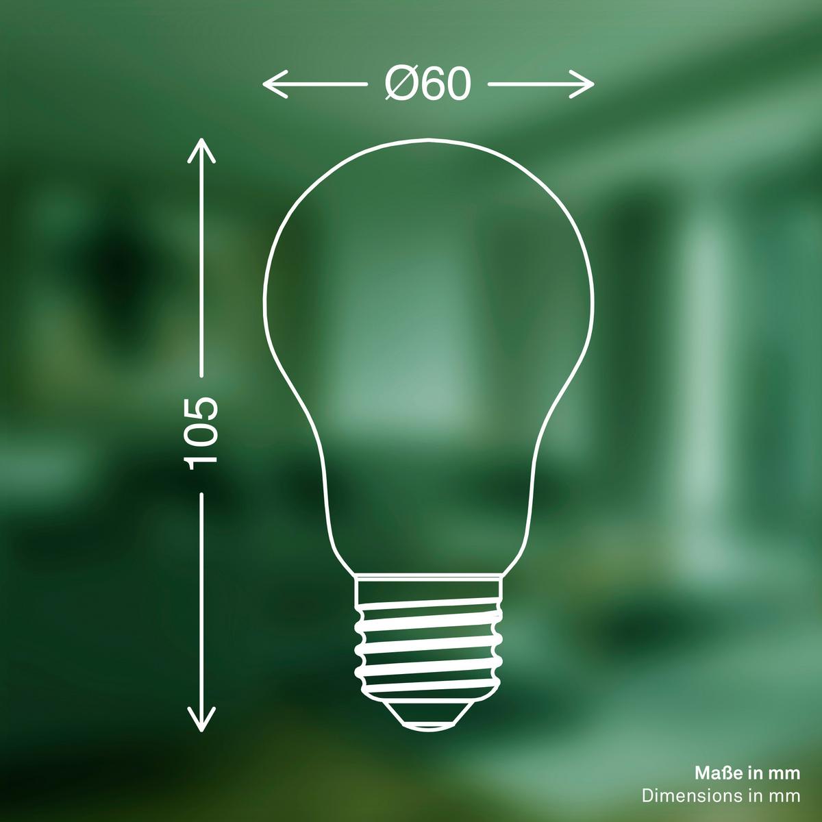 ŻARÓWKA LED 0551005 BULB A60 2ER SET - kolor srebrny, Basics, szkło (6/10.6cm)