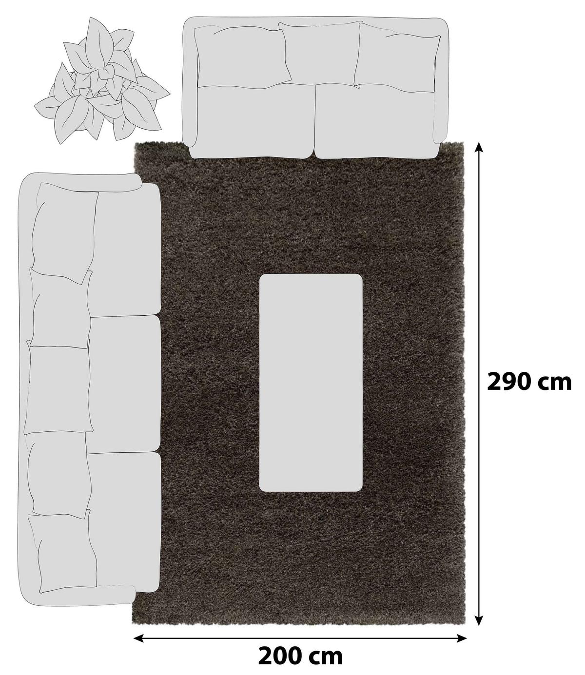 Hochflorteppich Fluffy Braun ca. 200x290cm - Braun, Basics, Textil (200/290cm)