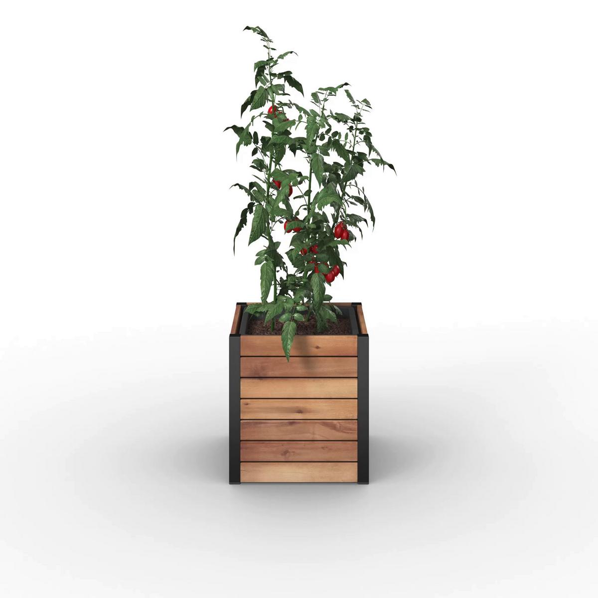 Magaságyás Christo 1 - akáciaszínű/fekete, Natur, műanyag/fa (32/34/32cm) - Mömax