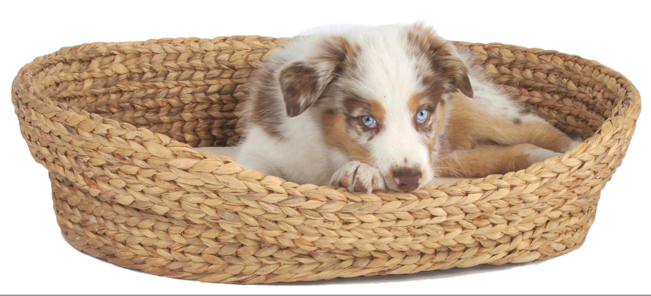 Tierkorb in Natur 'Gross' ca. 56x72x17 cm - Naturfarben, Basics, Naturmaterialien (56/72/17cm)