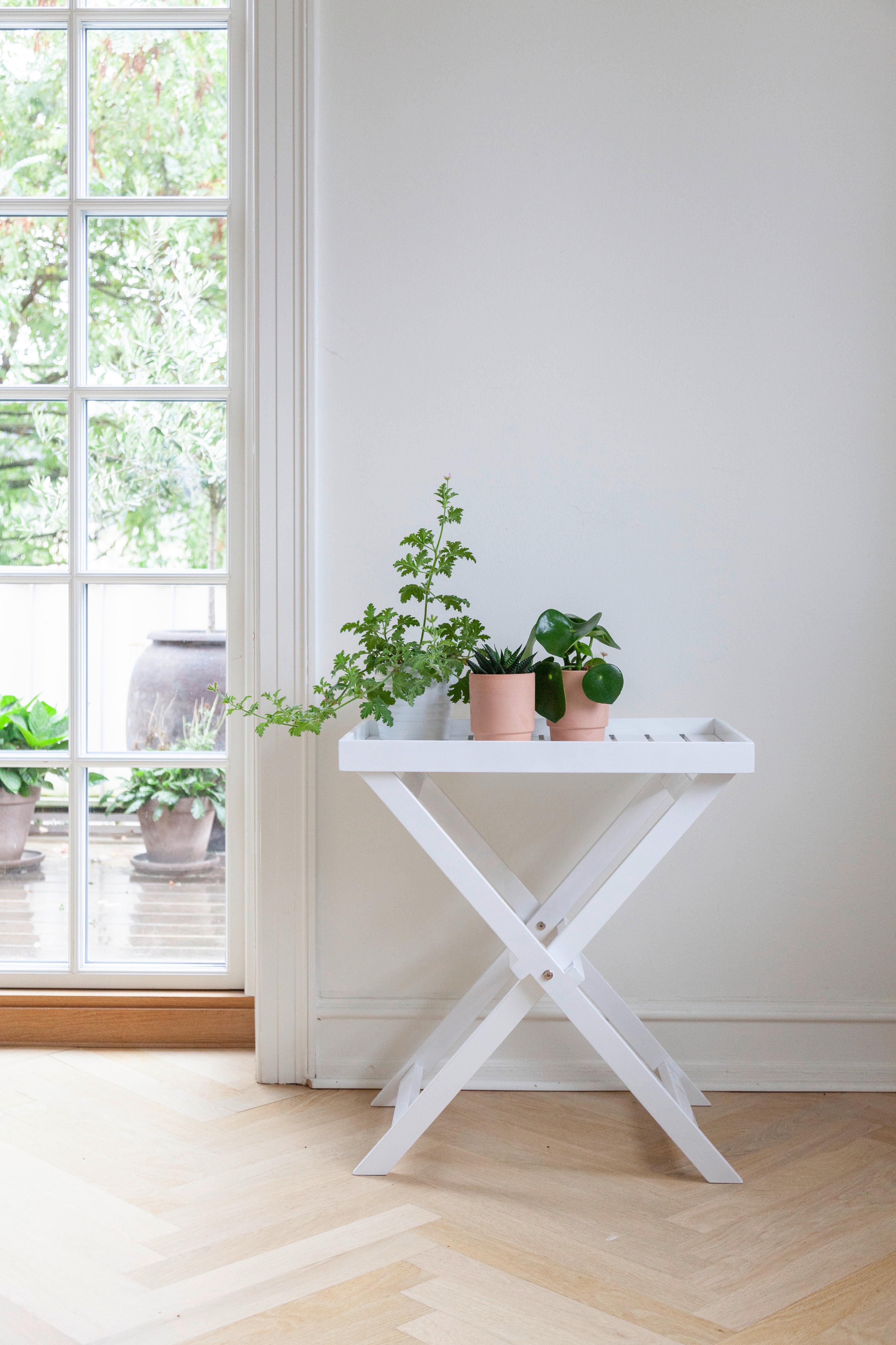 TABLETTTISCH TRAY TABLE - Weiß Hochglanz, KONVENTIONELL, Holz (60/40/65cm) - MID.YOU