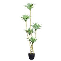 Kunstpflanze Sukkuleten Grau/Grün ca. 160cm - Schwarz/Braun, Design, Kunststoff (160cm) - P & B