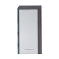Hängeschrank Miami/maine - Silberfarben/Schwarz, MODERN, Holzwerkstoff/Kunststoff (36/79/23cm)