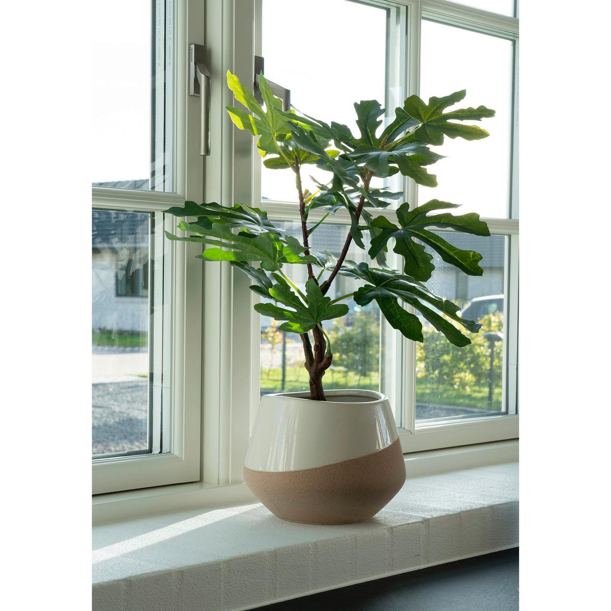 Kunstpflanze Fig Tree Grün - Grün, Design (40/60/40cm)