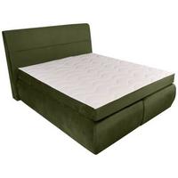 Boxspring Ágy Leon - sötétzöld, Modern, faalapú anyag/textil (160/200cm)