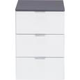 Nachtkästchen in Graphit/Weiß - Alufarben/Graphitfarben, Holzwerkstoff/Metall (40/61/42cm) - Premium Living