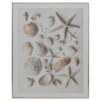 Tablou cu ramă Alba cca. 82x102 cm - argintiu/alb, Modern, plastic/lemn (82/102/4cm) - Mömax