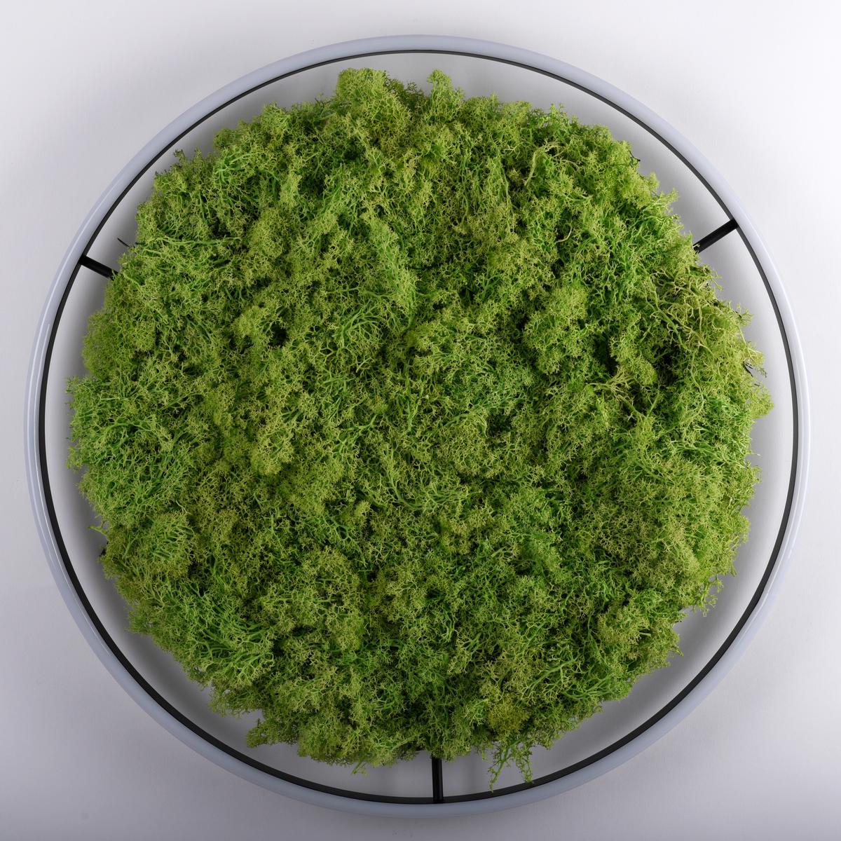 KINKIET 15392-66 GREEN RITUS - Natur, tworzywo sztuczne/materiały naturalne (58,5/58,5/5,3cm)