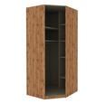 Eckschrank in Eichefarben - Eichefarben, MODERN, Holzwerkstoff (91,1/210/91,1cm) - Based Eckschrank in Eichefarben - Eichefarben, MODERN, Holzwerkstoff (91,1/210/91,1cm) - Based