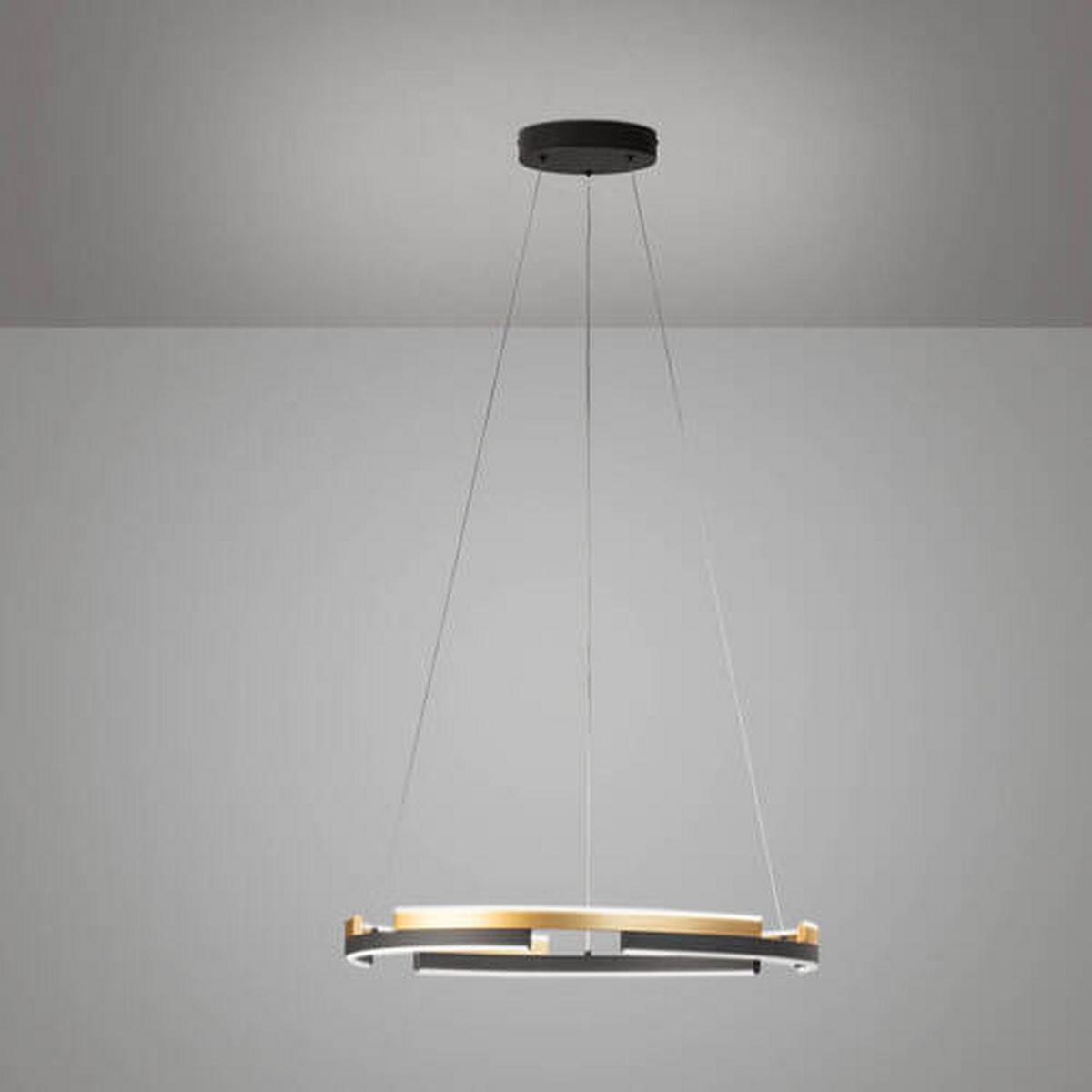 LAMPA WISZĄCA LED 61123 CIRCLY - Design (60/160cm) - Fischer & Honsel