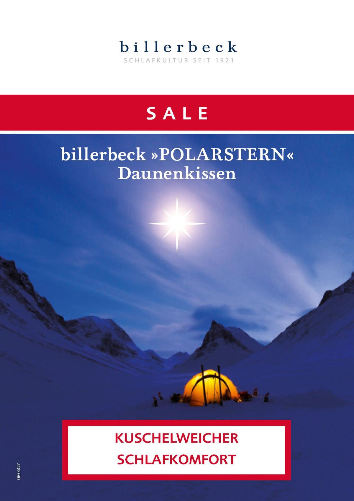 PODUSZKA 3-KOMOROWA POLARSTERN - biały, Design, tkanina (80/80cm) - Billerbeck