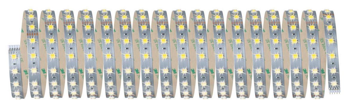 LED-Strip MaxLED Basic Set Silberfarben max. 47 Watt - Silberfarben, Basics, Kunststoff (1000cm) - Paulmann