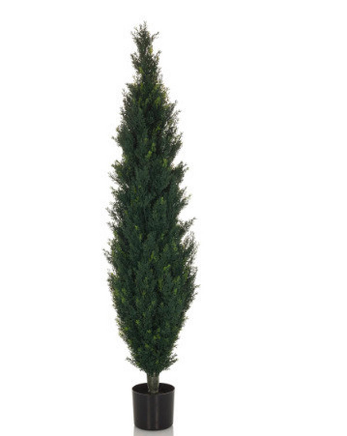Umetna Rastlina Cedrus - črna/zelena, Basics, umetna masa (35/152/35cm) - MID.YOU