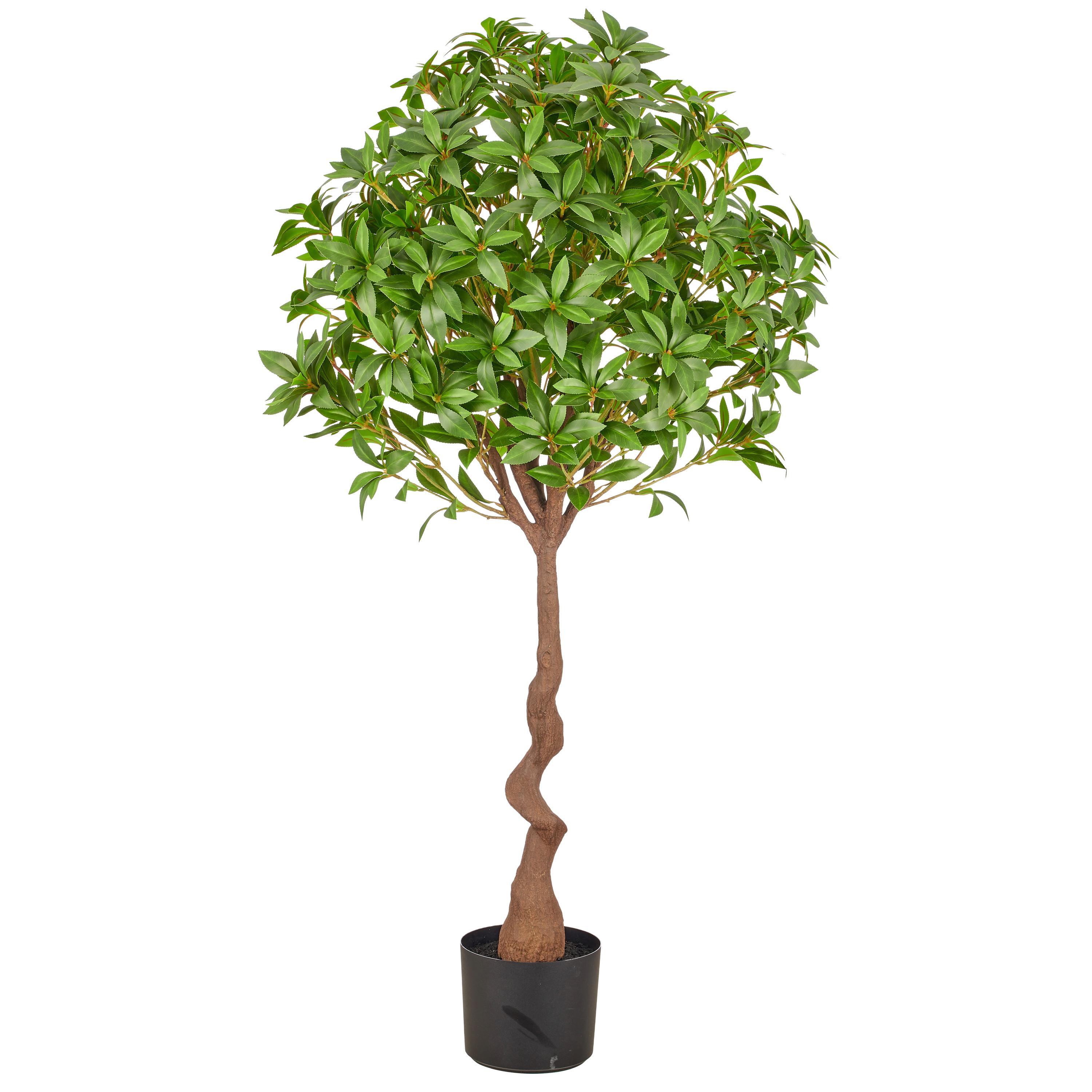 Kunstpflanze Pieris Japanica Grün/Braun/Schwarz - Schwarz/Braun, Basics, Kunststoff (125cm)