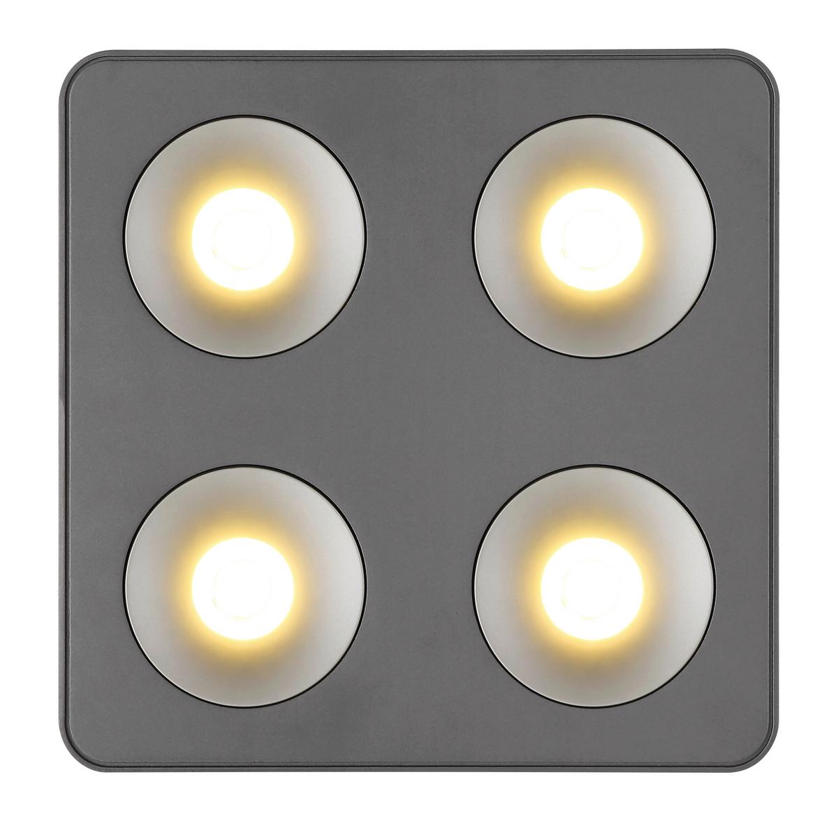 LED-STRAHLER 43100-4 - Klar/Dunkelgrau, Konventionell, Kunststoff/Metall (22,4/22,4/5,5cm) - Globo