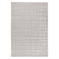 Ravno Tkana Preproga Angel, Srebrna, 80x150 - srebrne barve, Basics, tekstil (80/150cm) - Kayoom