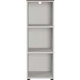 Regal in Kaschmir/Nussbaumfarben - Kaschmir/Nussbaumfarben, KONVENTIONELL, Holzwerkstoff/Kunststoff (41/120/40cm) - Mömax modern living Regal in Kaschmir/Nussbaumfarben - Kaschmir/Nussbaumfarben, KONVENTIONELL, Holzwerkstoff/Kunststoff (41/120/40cm) - Mömax modern living