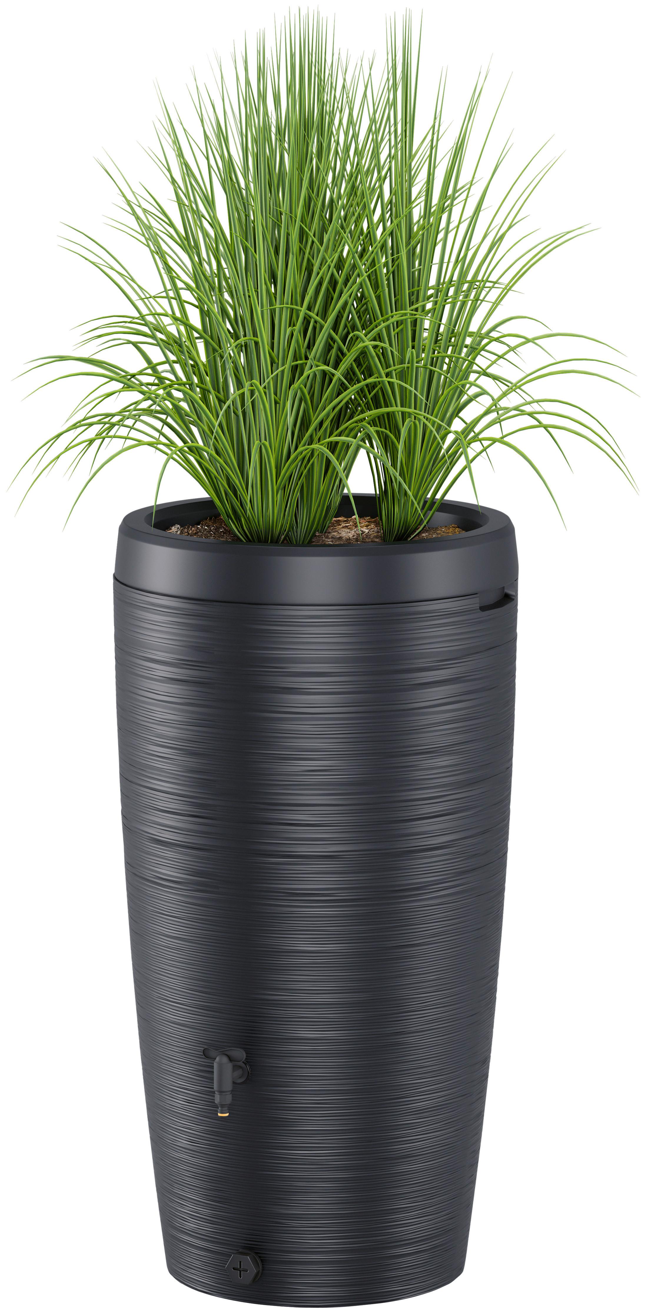 Übertopf Regentonne Gubo Anthrazit - Anthrazit, KONVENTIONELL, Kunststoff (59,5/112/59,5cm) - Mömax